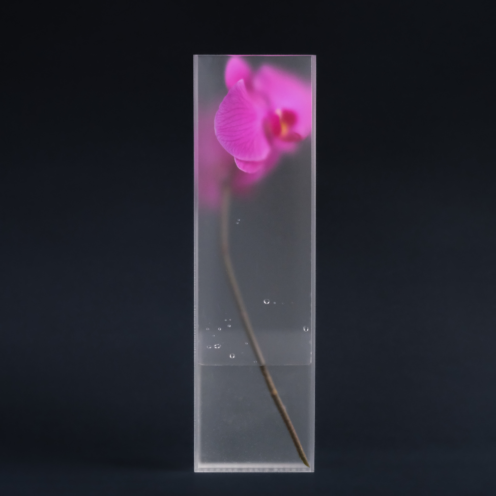 Nook Vase - Frost