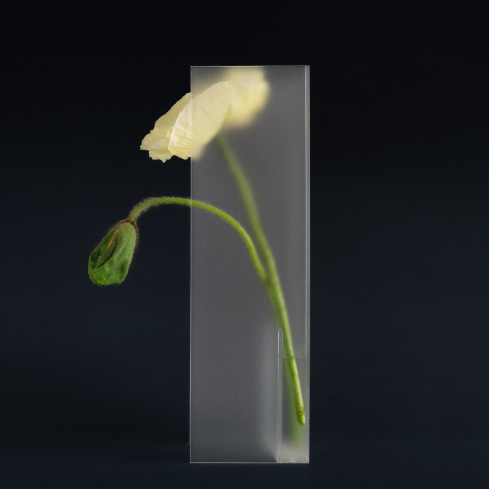 Nook Vase - Frost