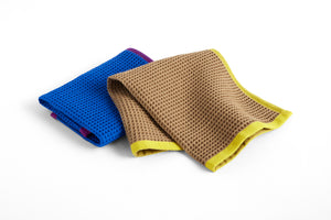 Canteen Dish Cloth Set/2, Blue/Yellow