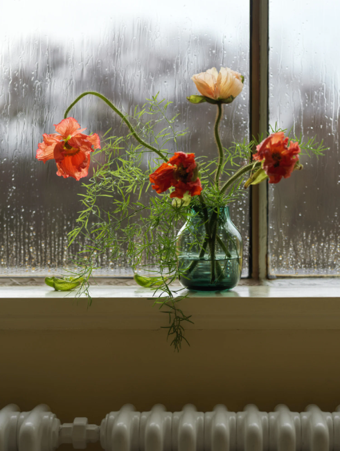 Silent Vase, Clear 7.8"