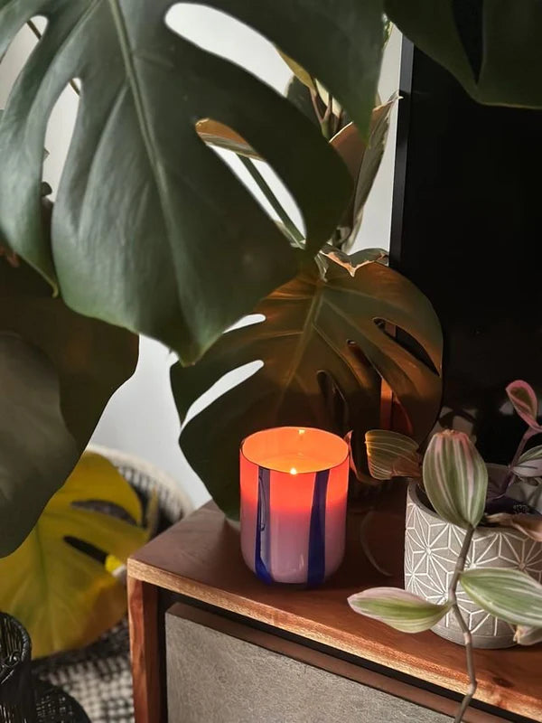 Atina Candle, Blackcurrant + Oudh