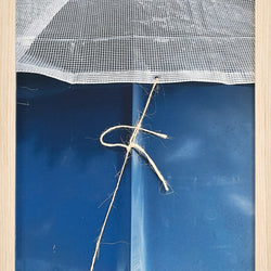 Adam Flewelling, Cerulean, 2021