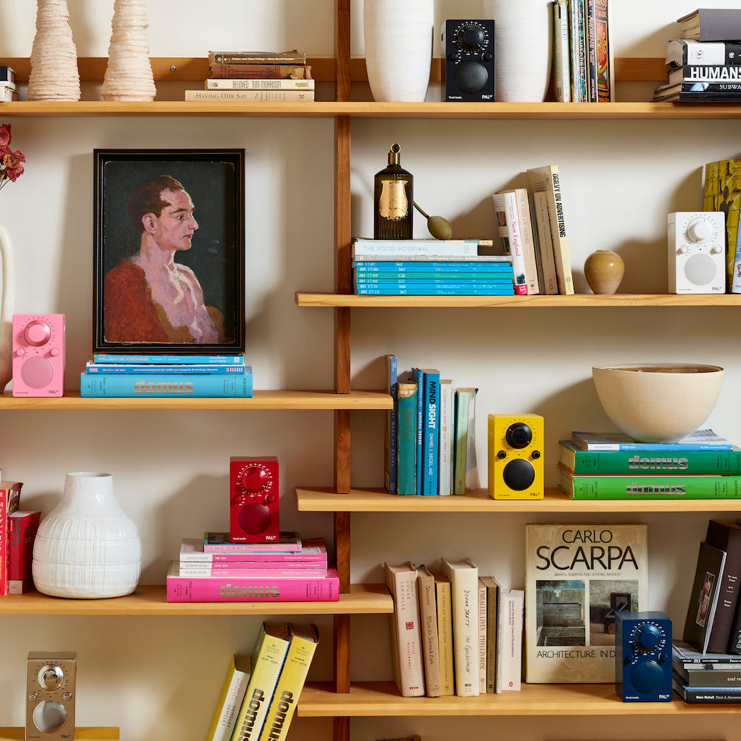 PAL Bluetooth Radio, Pink