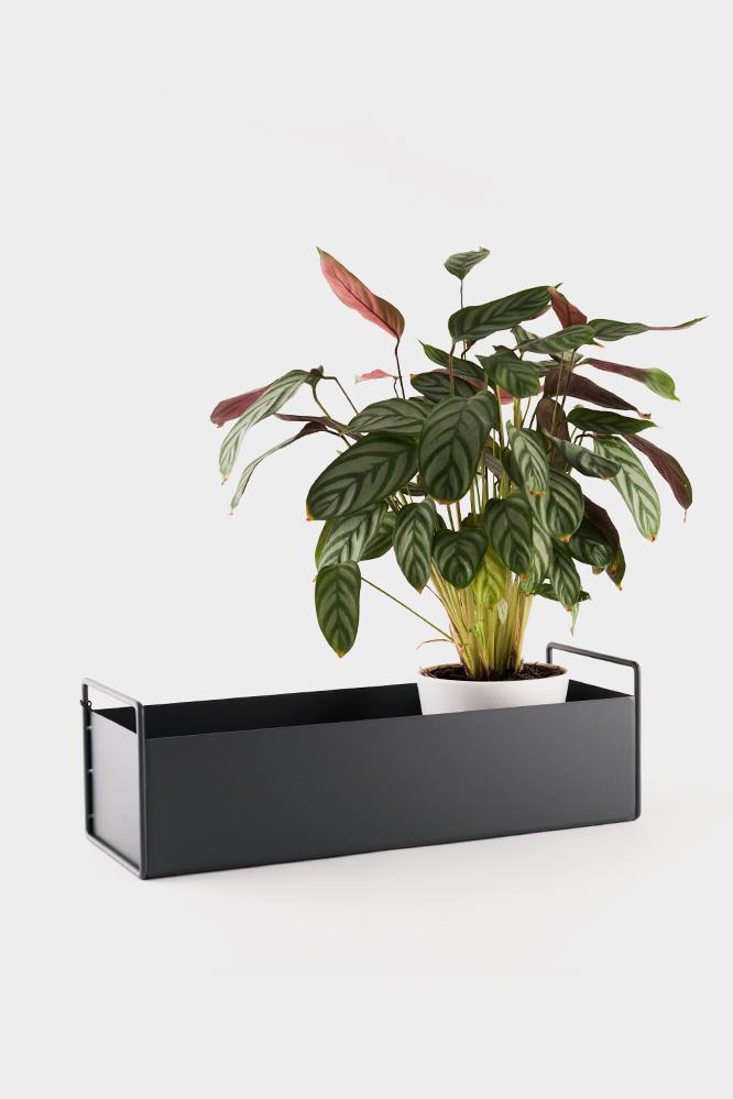 Plant Box, Small, Black